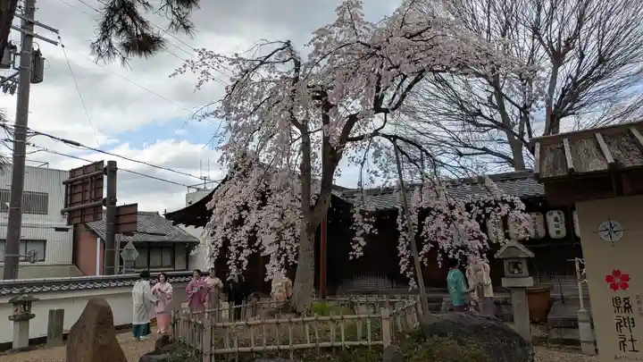 縣神社(京都府)