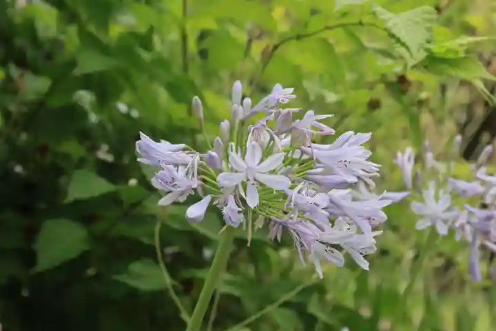 阿邪訶根神社の庭園