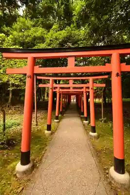 橿原神宮(奈良県)