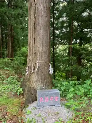 鹽竃神社の自然