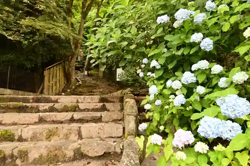 矢田寺(奈良県)