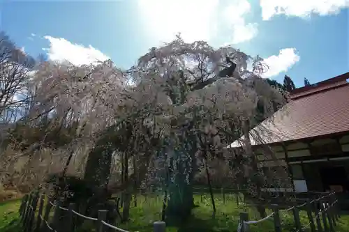 永泉寺の庭園