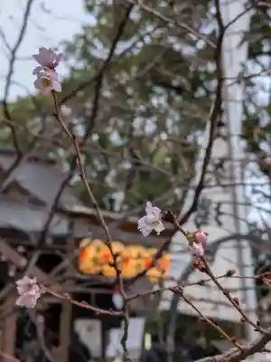 若宮八幡社(愛知県)