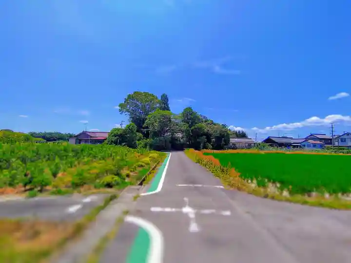 神明社(甲新田イ一)の自然