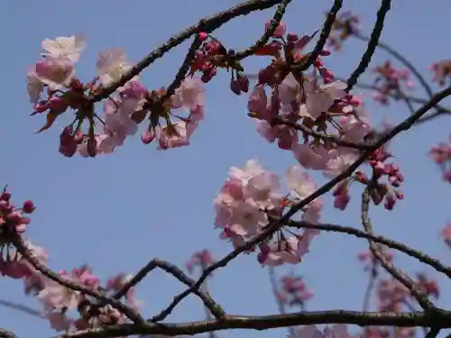 輪王寺両大師堂(寛永寺輪王殿)の自然