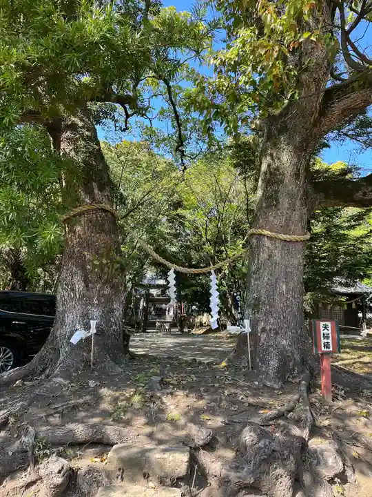 高屋神社の自然