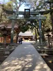 平塚八幡宮の鳥居