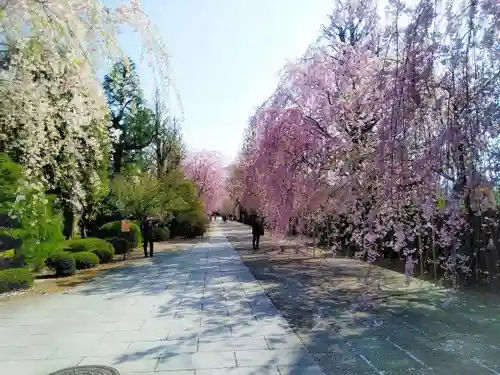 吉祥寺のその他建物