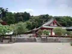 金剛寺(大阪府)