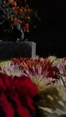 木幡山隠津島神社(二本松市)(福島県)