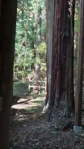 諏訪大社下社春宮(長野県)