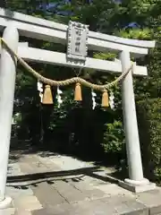 星川杉山神社の鳥居