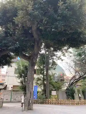 七社神社(東京都)