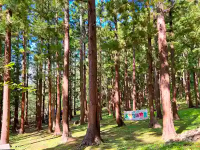 青龍寺(昭和大仏)(青森県)