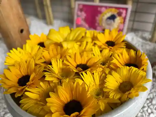 瑞玄寺の手水舎