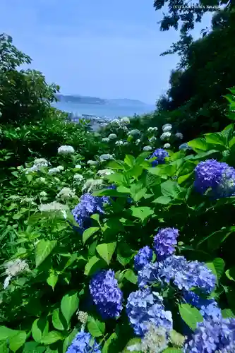 長谷寺の景色