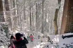 宝珠山 立石寺の自然