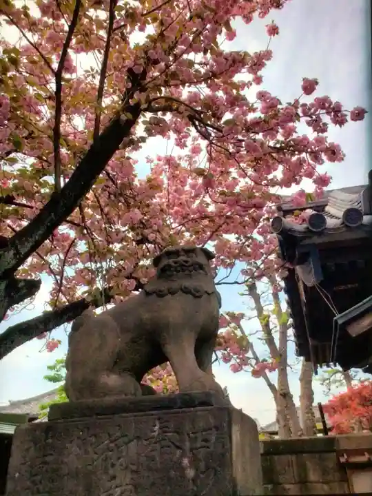荘厳寺(東京都)