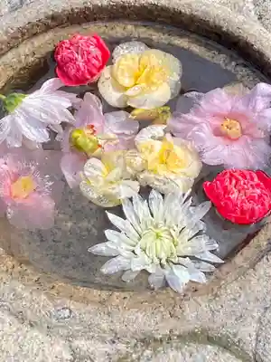 桧尾寺(滋賀県)