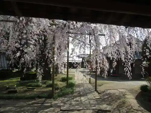 慶龍寺(茨城県)