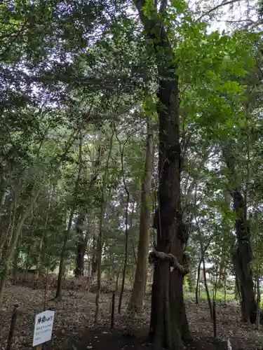 積田神社(三重県)