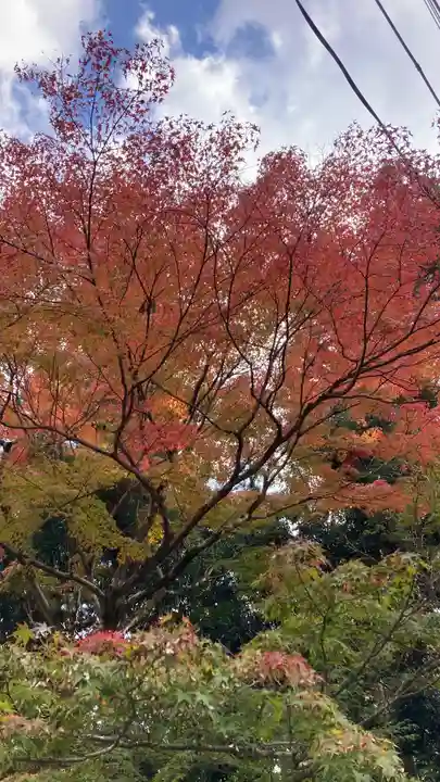 二尊院(京都府)