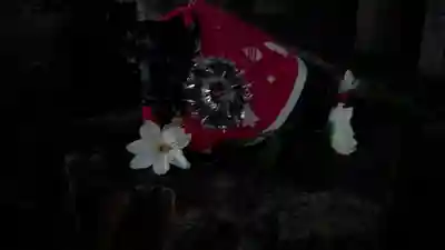 大松禅寺(京都府)