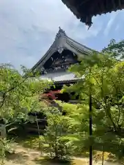 光明寺（粟生光明寺）の建物その他