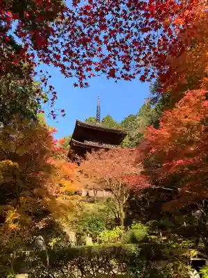 金剛輪寺の塔