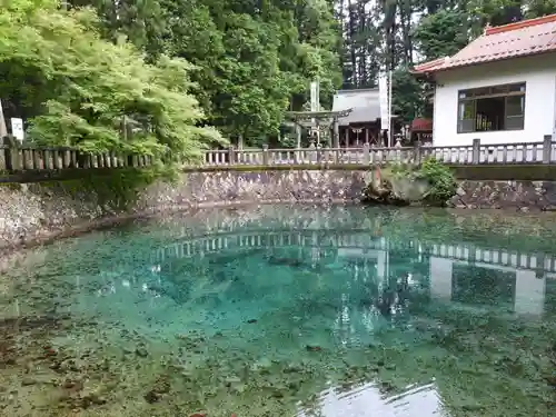 嚴島神社(山口県)