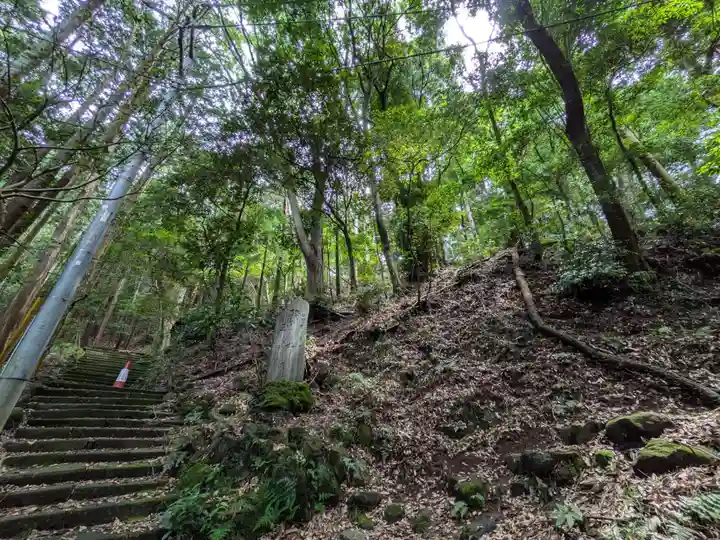 阿弥陀寺の周辺