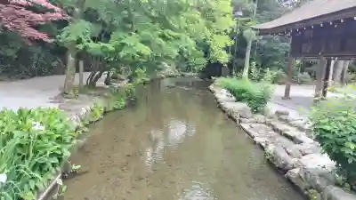 賀茂別雷神社(上賀茂神社)(京都府)