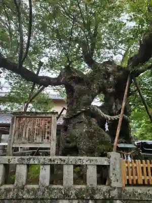 中山神社(岡山県)
