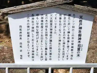 本土神社のその他建物