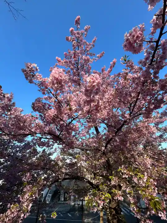 菅原神社(東京都)