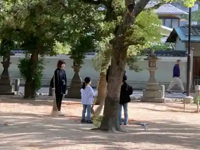 西宮神社(兵庫県)