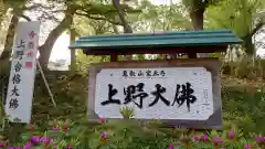 上野大佛(東京都)