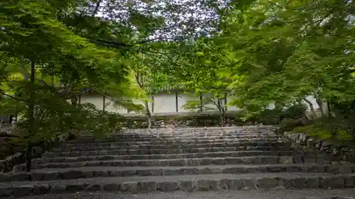 二尊院(京都府)