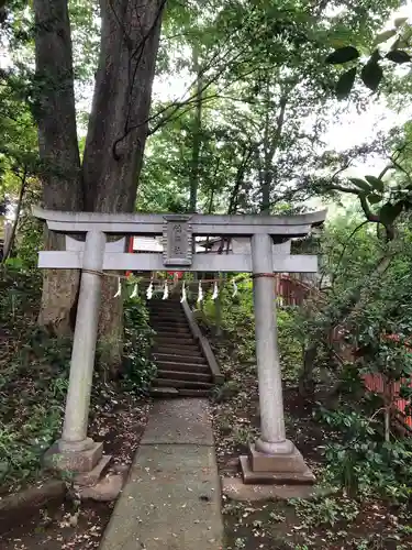 氷川神社の鳥居