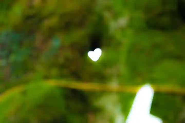 熊野皇大神社(長野県)