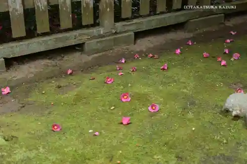 香取神宮(千葉県)