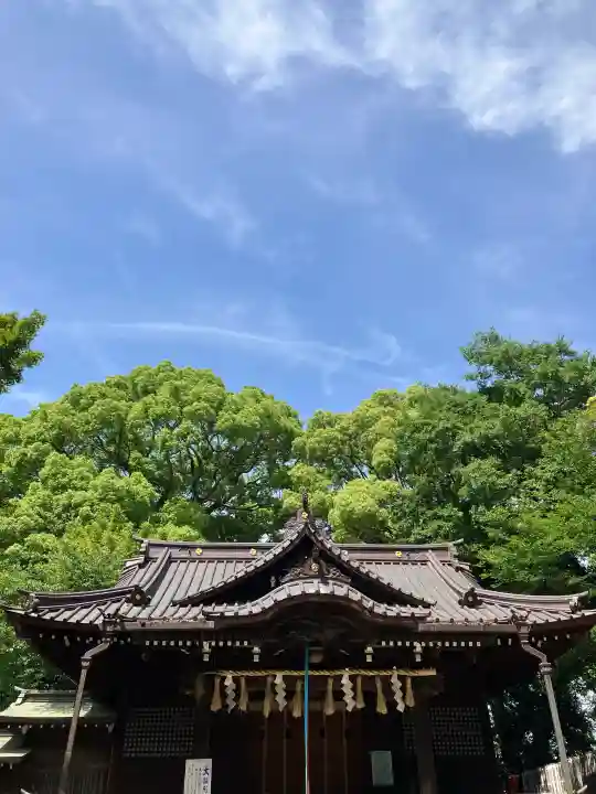 代々木八幡宮の{uncategorized: "未分類", other: "その他", undefined: "問題あり", building: "その他建物", grave: "お墓", sacred_gate: "鳥居", guardian: "狛犬", statue: "像", buddha: "仏像", history: "歴史", nature: "自然", garden: "庭園", animal: "動物", pagoda: "塔", temizu: "手水舎", mountain_gate: "山門・神門", sanctuary: "本殿・本堂", subordinate: "末社・摂社", art: "芸術", scenery: "景色", jizo: "地蔵", ema: "絵馬", goshuin: "御朱印", omikuji: "おみくじ", items: "授与品その他", amulet: "お守り", goshuincho: "御朱印帳", eats: "食事", festival: "お祭り", votive_dance: "神楽", shichigosan: "七五三参", wedding: "結婚式", experience: "体験その他", initially: "初詣", around: "周辺", anti_infection: "感染症対策"}