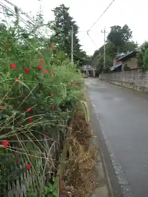 伏木香取神社(茨城県)