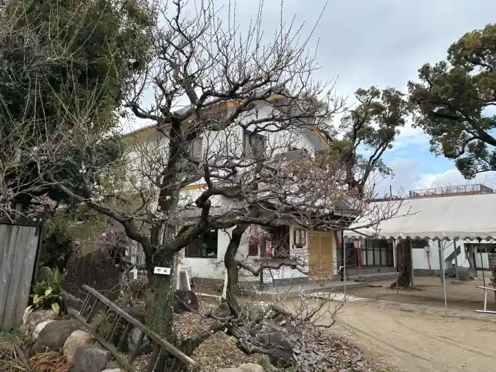 難波熊野神社の{uncategorized: "未分類", other: "その他", undefined: "問題あり", building: "その他建物", grave: "お墓", sacred_gate: "鳥居", guardian: "狛犬", statue: "像", buddha: "仏像", history: "歴史", nature: "自然", garden: "庭園", animal: "動物", pagoda: "塔", temizu: "手水舎", mountain_gate: "山門・神門", sanctuary: "本殿・本堂", subordinate: "末社・摂社", art: "芸術", scenery: "景色", jizo: "地蔵", ema: "絵馬", goshuin: "御朱印", omikuji: "おみくじ", items: "授与品その他", amulet: "お守り", goshuincho: "御朱印帳", eats: "食事", festival: "お祭り", votive_dance: "神楽", shichigosan: "七五三参", wedding: "結婚式", experience: "体験その他", initially: "初詣", around: "周辺", anti_infection: "感染症対策"}