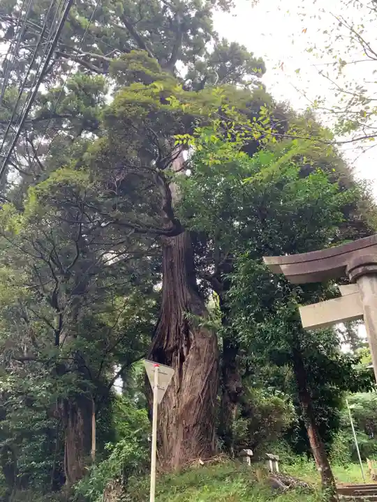 福大神(千葉県)