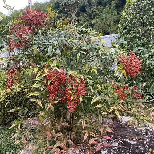 加佐美神社(岐阜県)