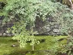 酬恩庵一休寺(京都府)