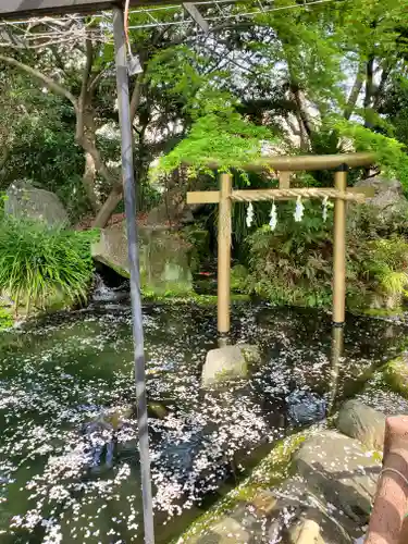 愛宕神社の鳥居