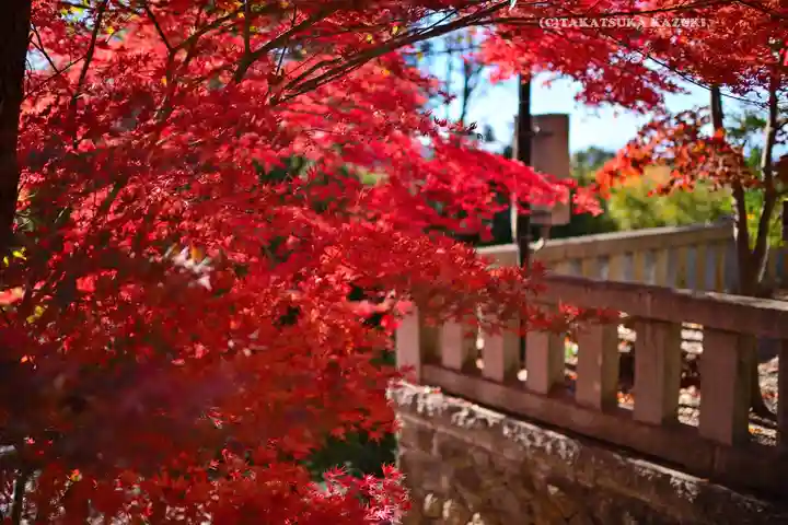 足利織姫神社(栃木県)