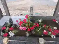 長沼八幡宮(栃木県)